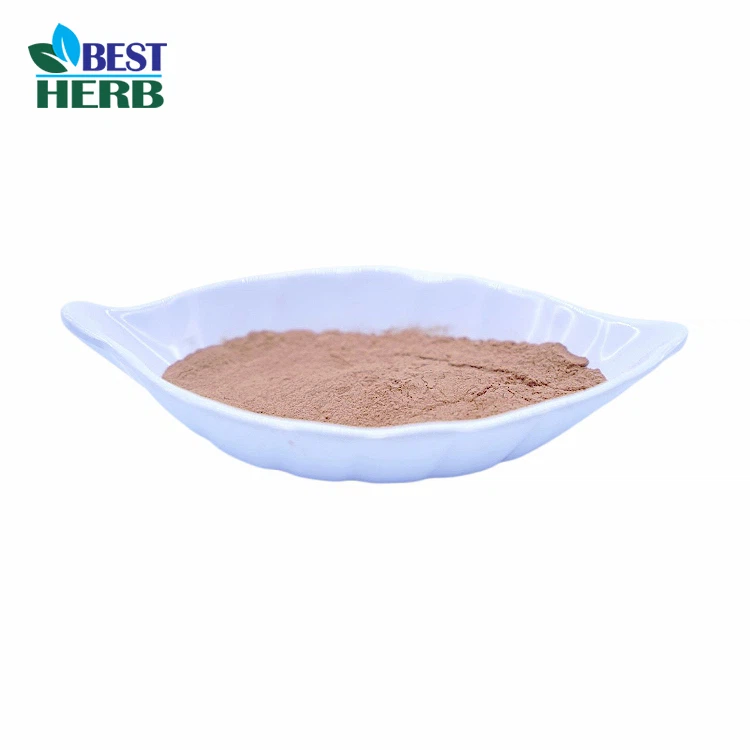 Chaga Extract Powder