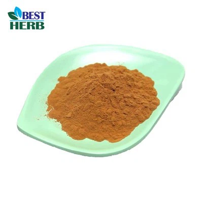 Ci sono differenze tra le diverse marche di estratto di funghi?