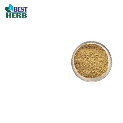 2025 Le 10 migliori fabbriche di estratti di funghi al mondo