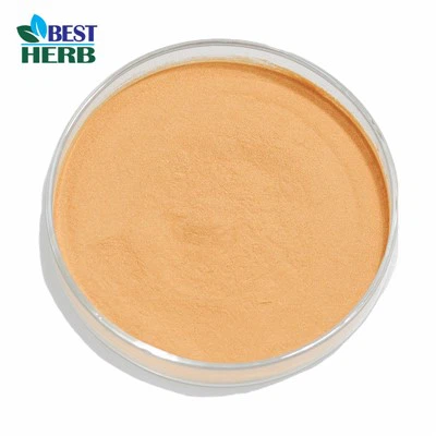 L'estratto di Panax Ginseng è buono per gli atleti?